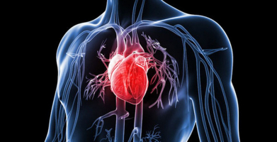 Top 9 Loại thuốc bổ cho tim mạch tốt nhất hiện nay
